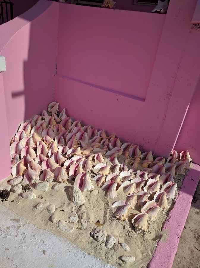 Da Pink And White Palace 나사우 외부 사진